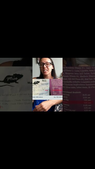 Dry kibble is the OPPOSITE of cat's natural diet #shorts