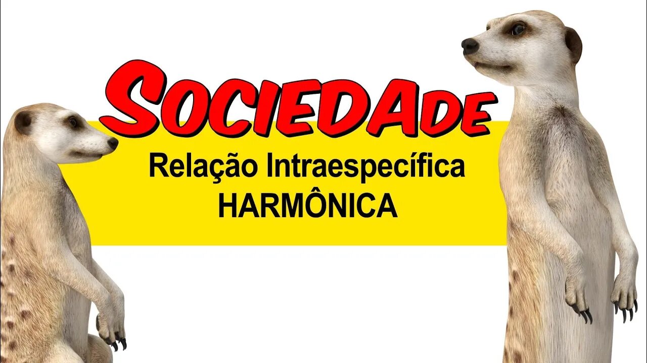 SOCIEDADE - RELAÇÃO INTRAESPECÍFICA HARMÔNICA