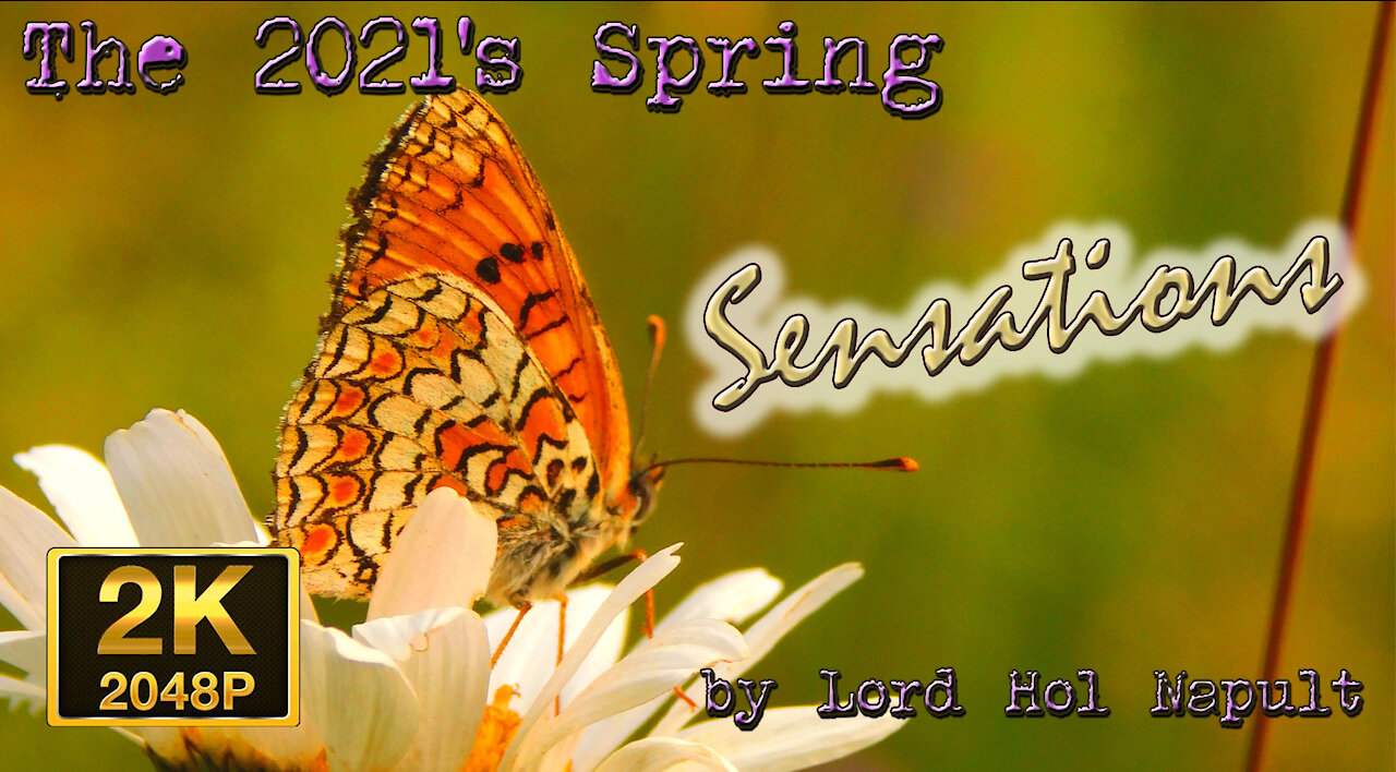 The 2021's Spring Sensations