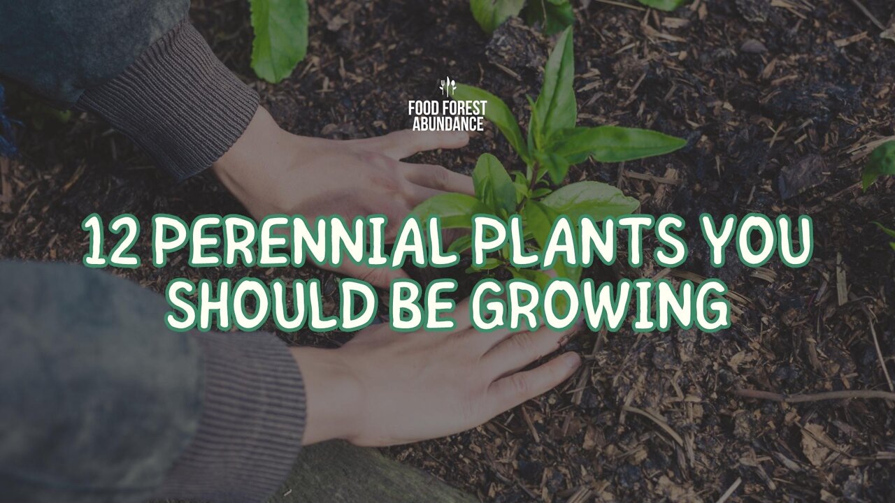 12 Perennial Plants You Should Be Growing