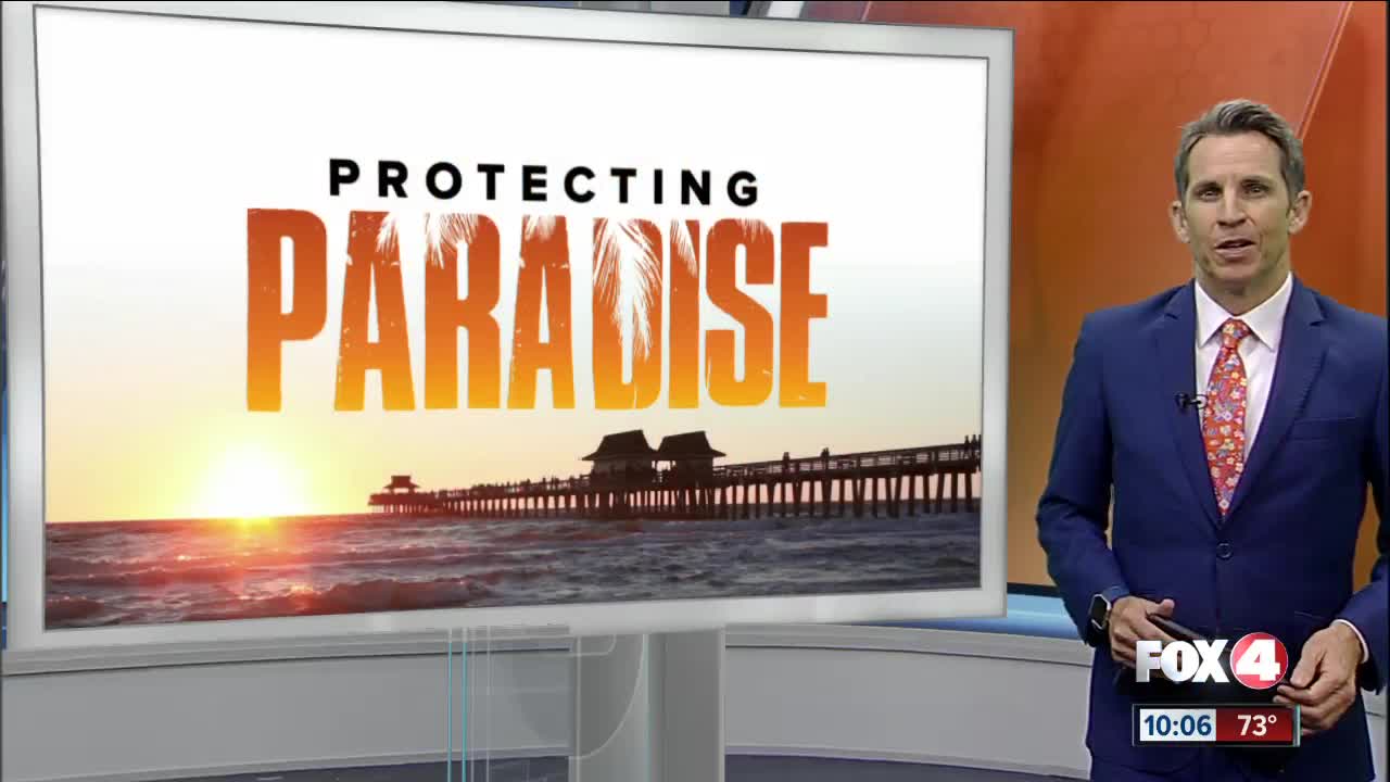 Fox 4 launches Protecting Paradise, a focus on the environmental issues in Southwest Florida