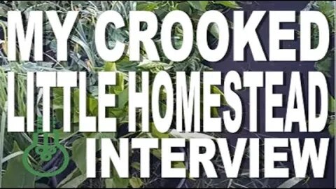 MY CROOKED LITTLE HOMESTEAD INTERVIEW