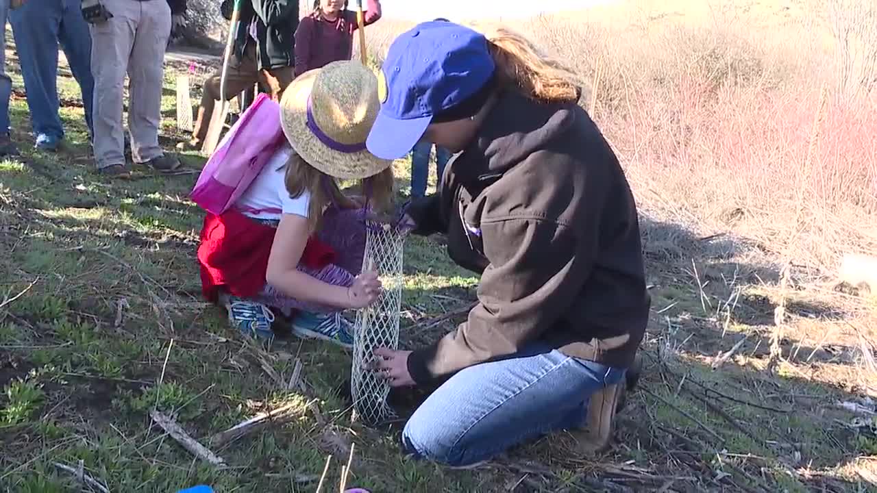 Planting shrubs in Hulls Gulch becomes a community effort in Boise