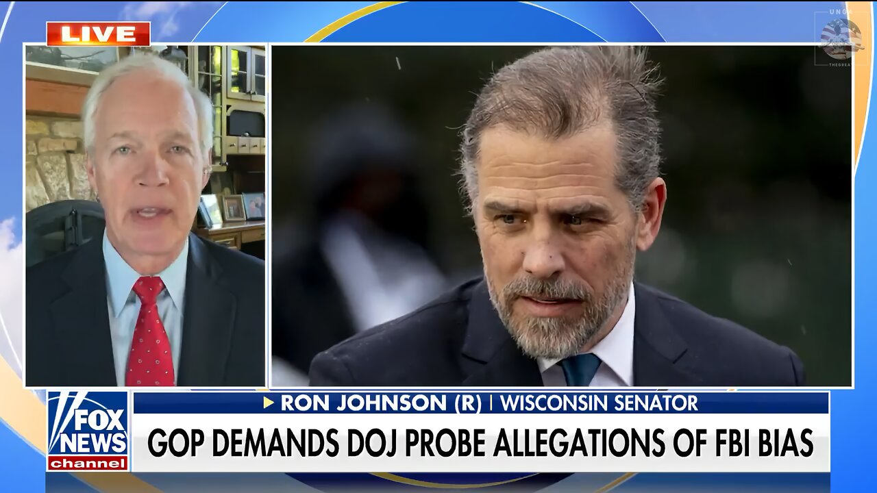 Sen. Ron Johnson Slams FBI for Bias Allegations in Hunter Biden Case: 'You can't trust them'