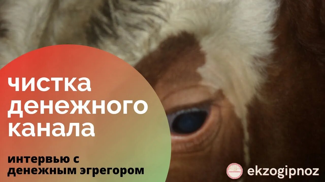 Чистка денежного канала. Интервью с денежным эгрегором.