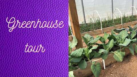 Mittleider garden greenhouse tour - April 26, 2021