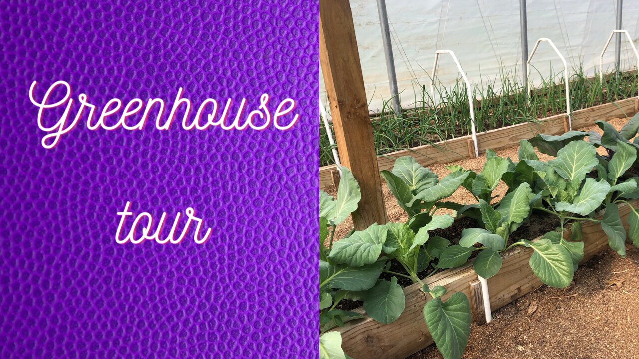 Mittleider garden greenhouse tour - April 26, 2021