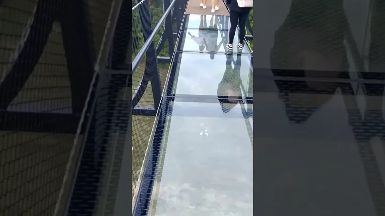 walking over the skybridge michigan