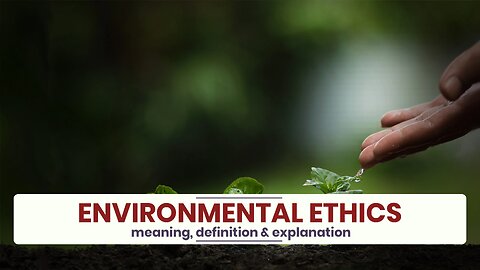 What is ENVIRONMENTAL ETHICS?