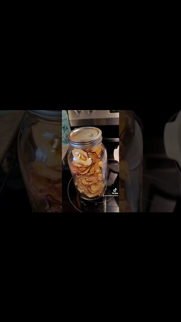 Dehydrated Apple Rings Simple and Delicous