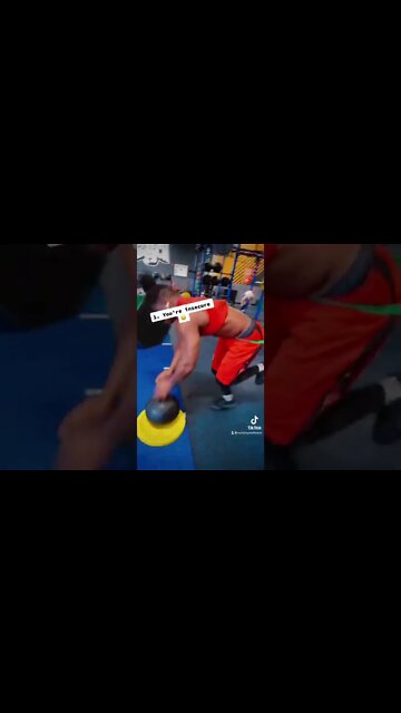 The S.I.G.N. language is real 👑