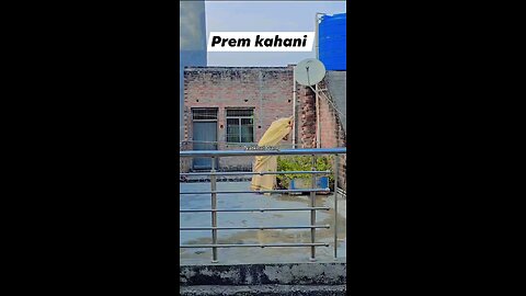ਮਾਰ ਦੀਆ ਜਾਏ ਜਾ ਛੋੜ ਦੀਆ ਜਾਏ maar diya jaye y chhod diya jaye