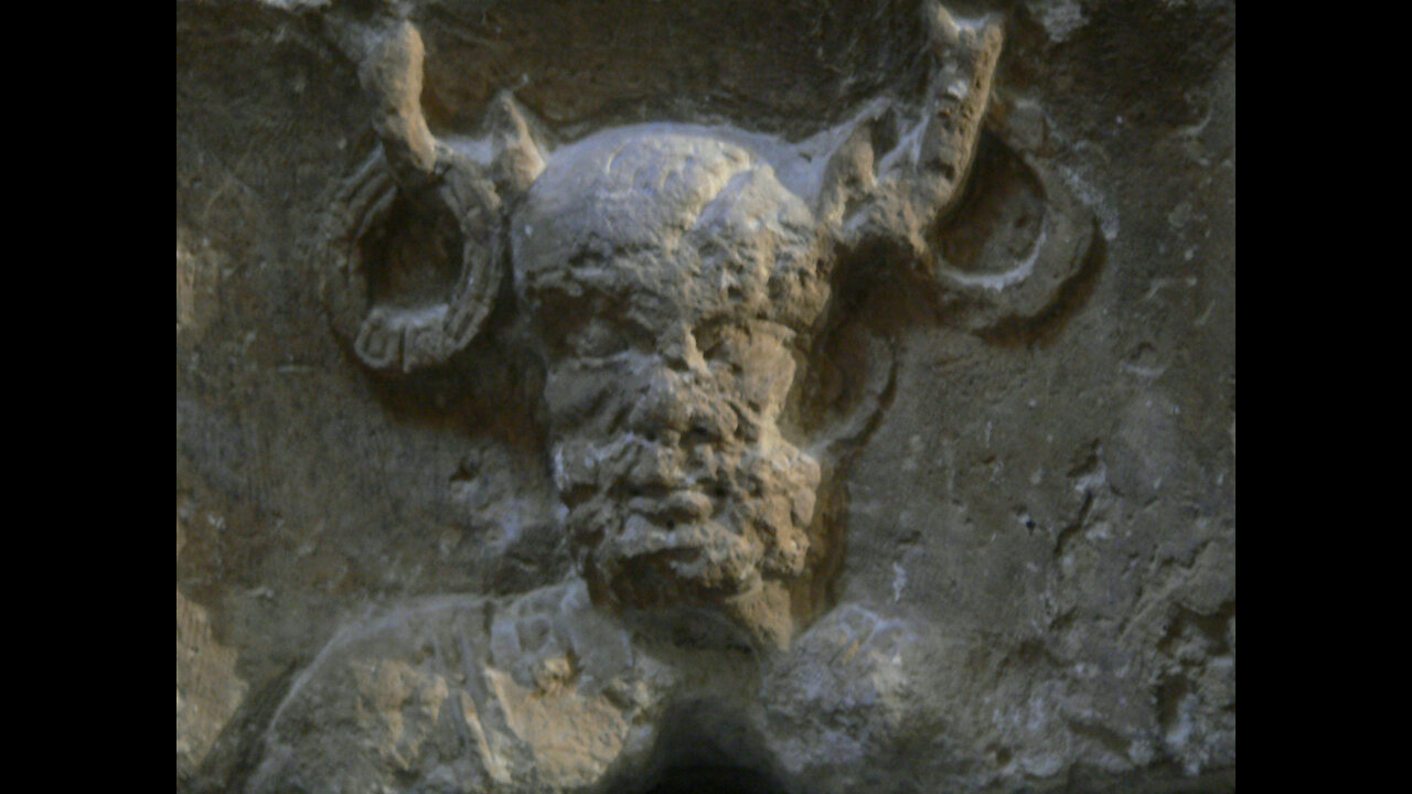 Dont worry about the VAXX Because the ALIENS will save you