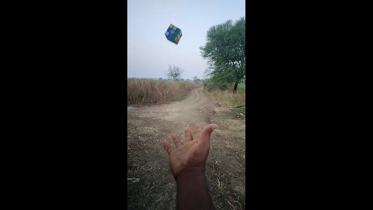 cubes