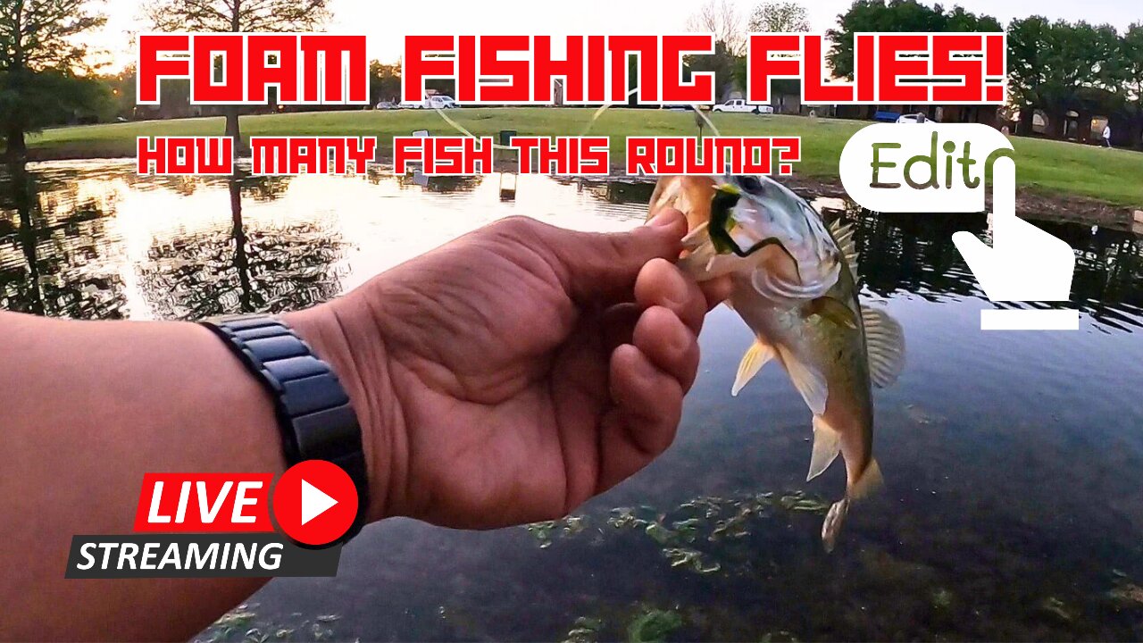 Just Another Boring Pond Fishing Video #gopro mobile #fishing #live