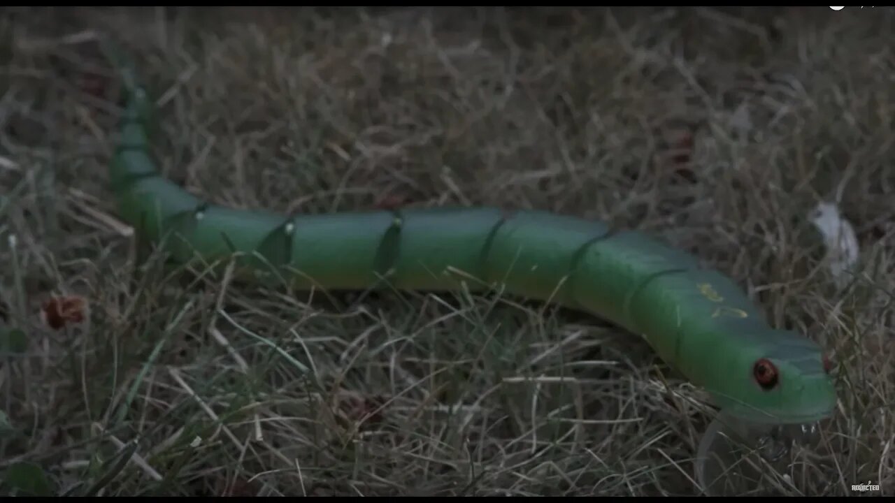 ICast 2018 New Product! | Savage Gear 3D Wake Snake