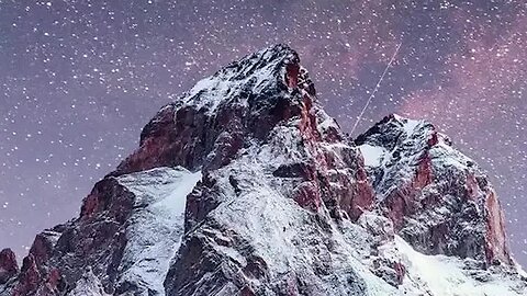 Up Close with Nature's Creatures