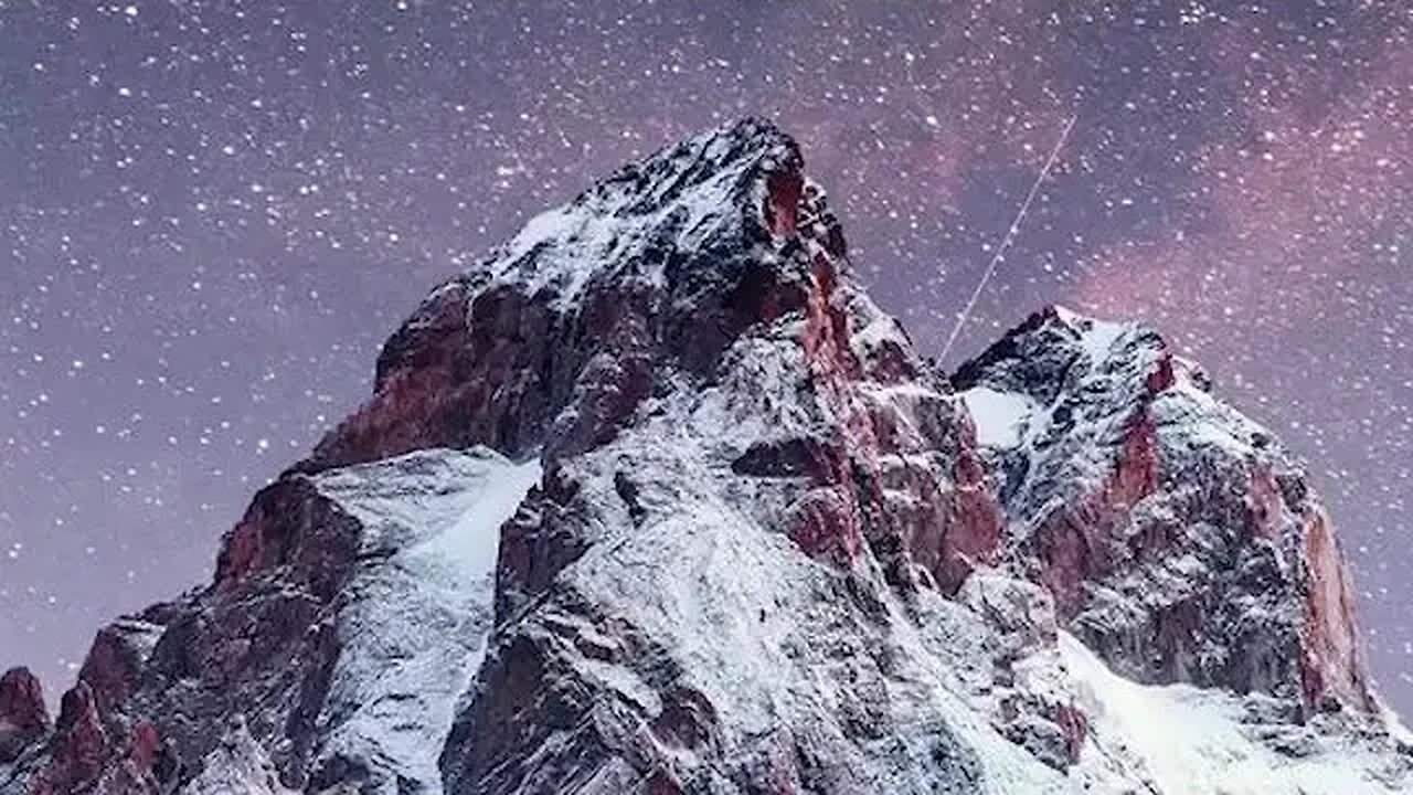 Up Close with Nature's Creatures