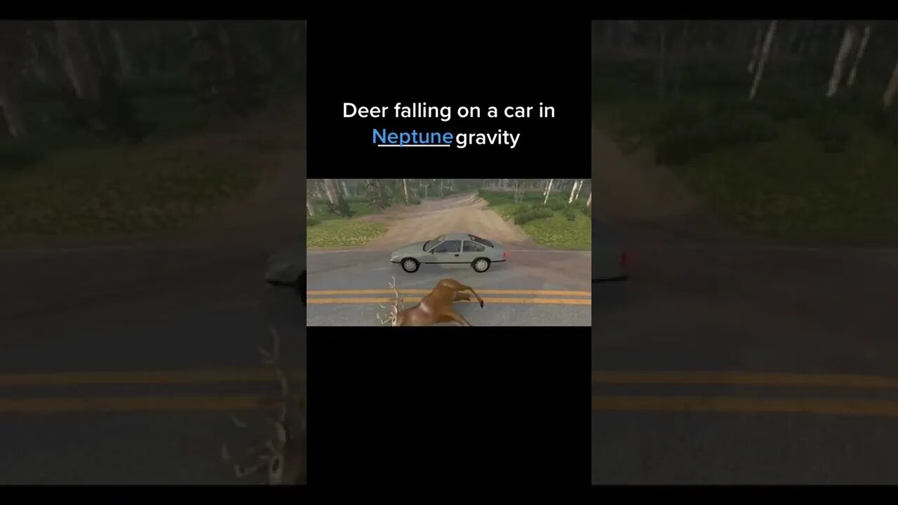 piercing deer / BeamNG DRIVE