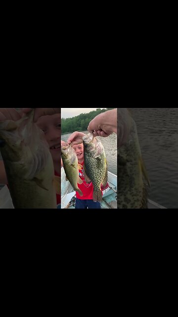 Giant Crappie #fishing #fishingvideo #crappiefishing