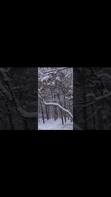 Easy Birdie on the new basket placement