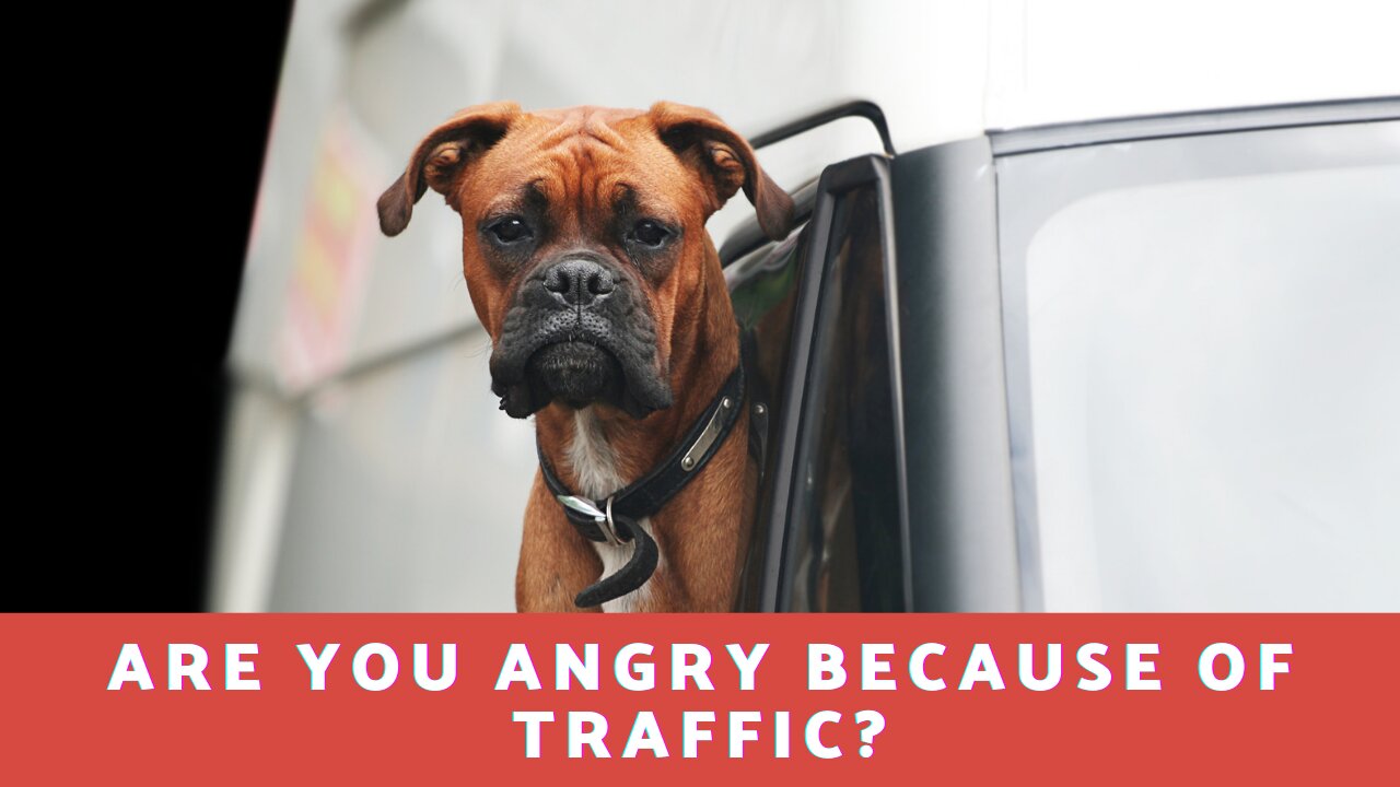 Are You Angry Because Of Traffic!