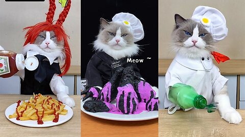 Cats make food