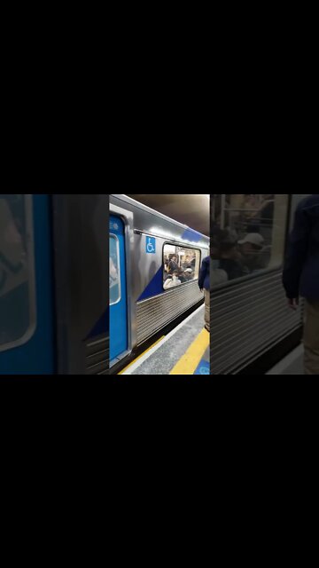 Yatta e Rex a caminho de um evento #shorts