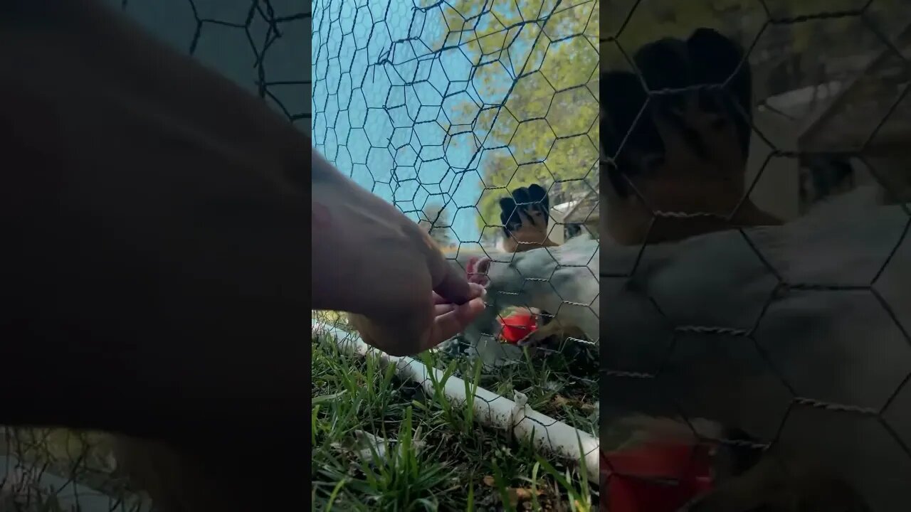 Bread for my babies 😊