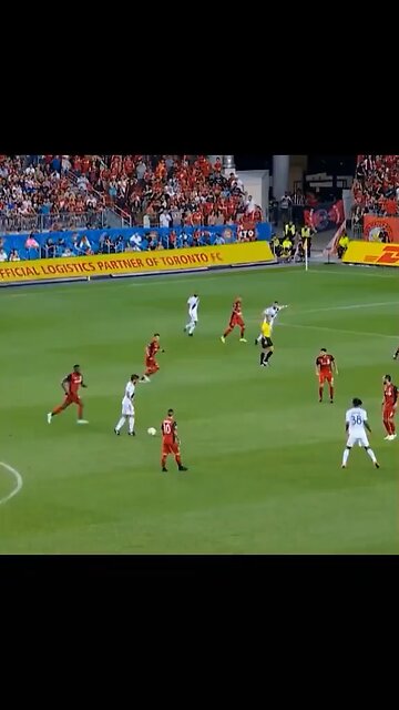 Zlatan karate 🥋 skills in soccer(short video)