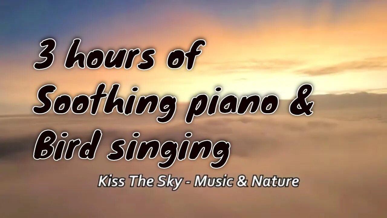 Soothing music with piano and bird sound for 3 hours, relaxation music for stress relief