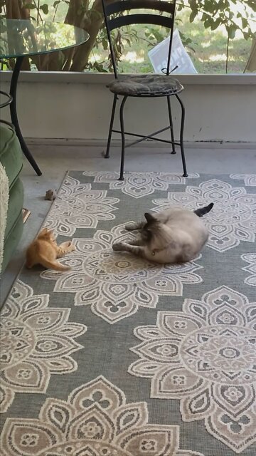 When Trump Baby was tiny