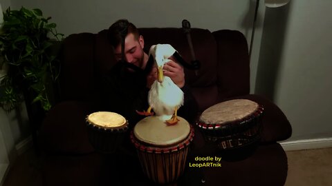 🪘 Drummer 🪘
