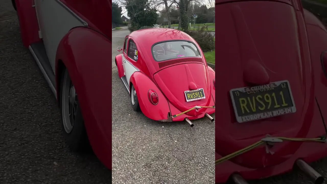 VW Beetle