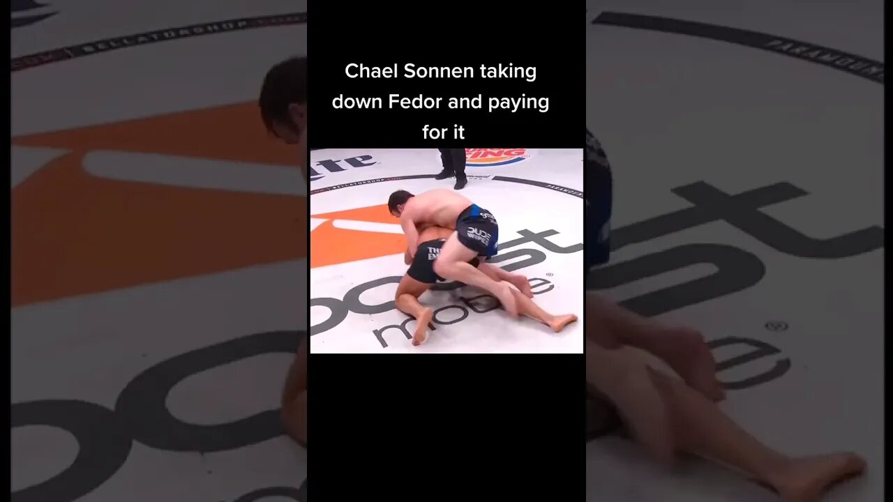 CHAEL SONNEN VS FEDOR EMELIANENKO