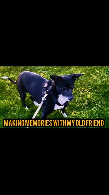 Making Memories with My Old Friend