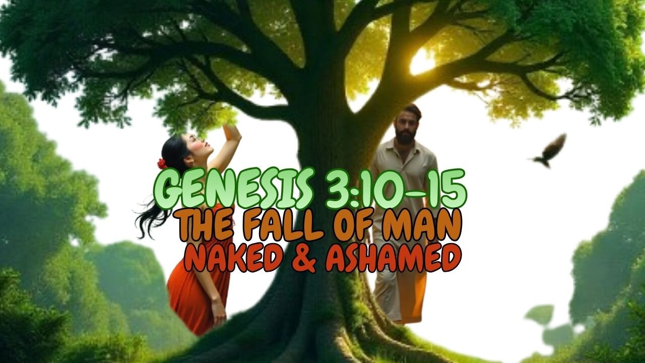 Genesis 3:10-15 Bible Study, The Aftermath of The Fall
