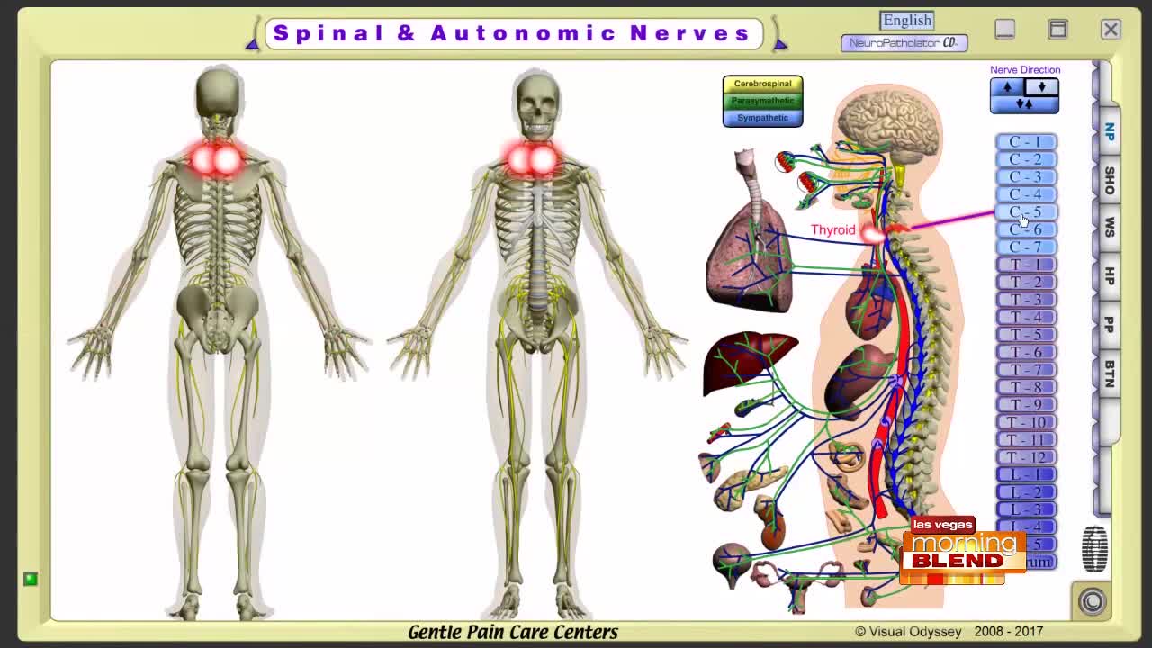 A Gentle Chiropractic Approach