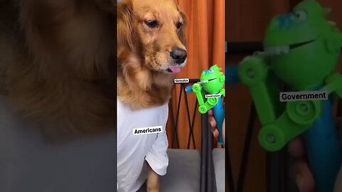 Where they getting all this 💵 💵 💵💵💵💵💵💵💵?