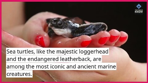 Top 10 Marvelous Underwater Creatures to Discover