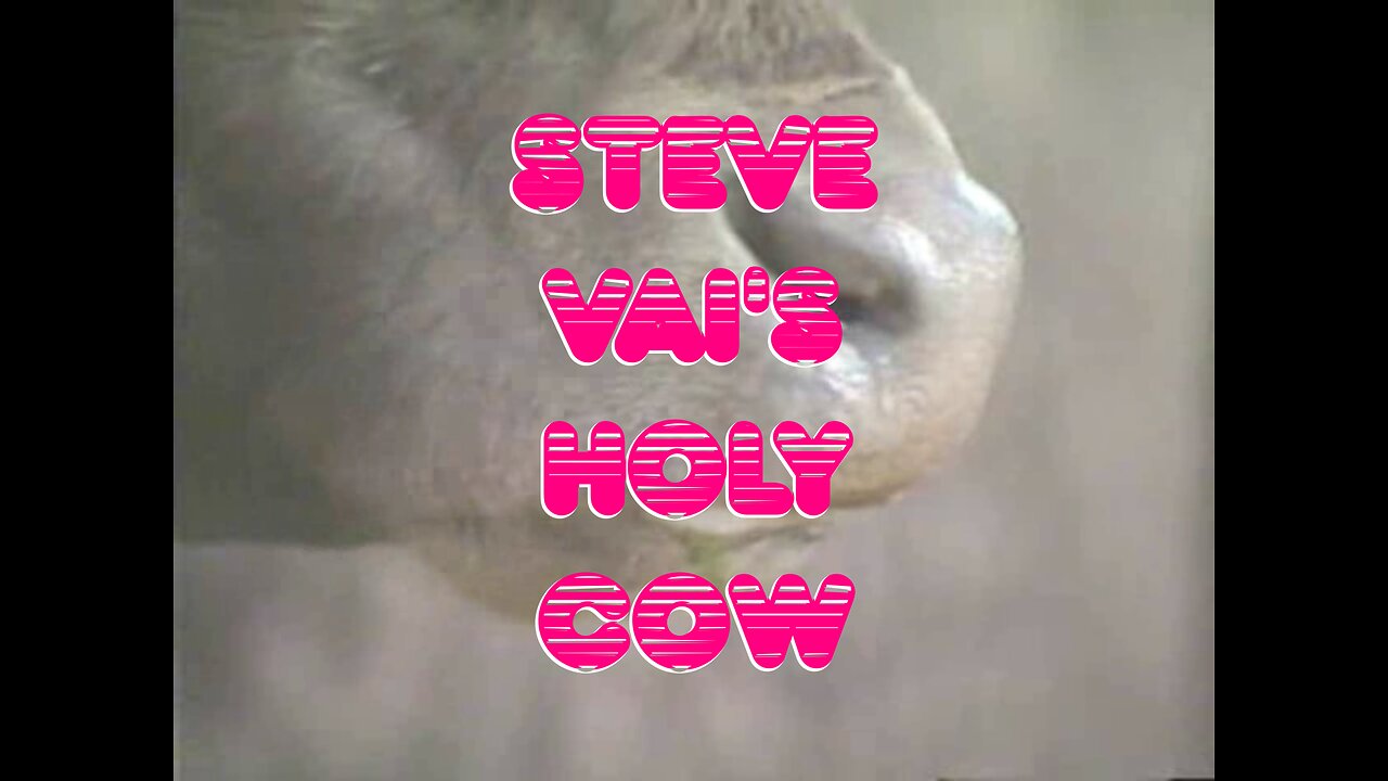 Steve Via's Holy Cow