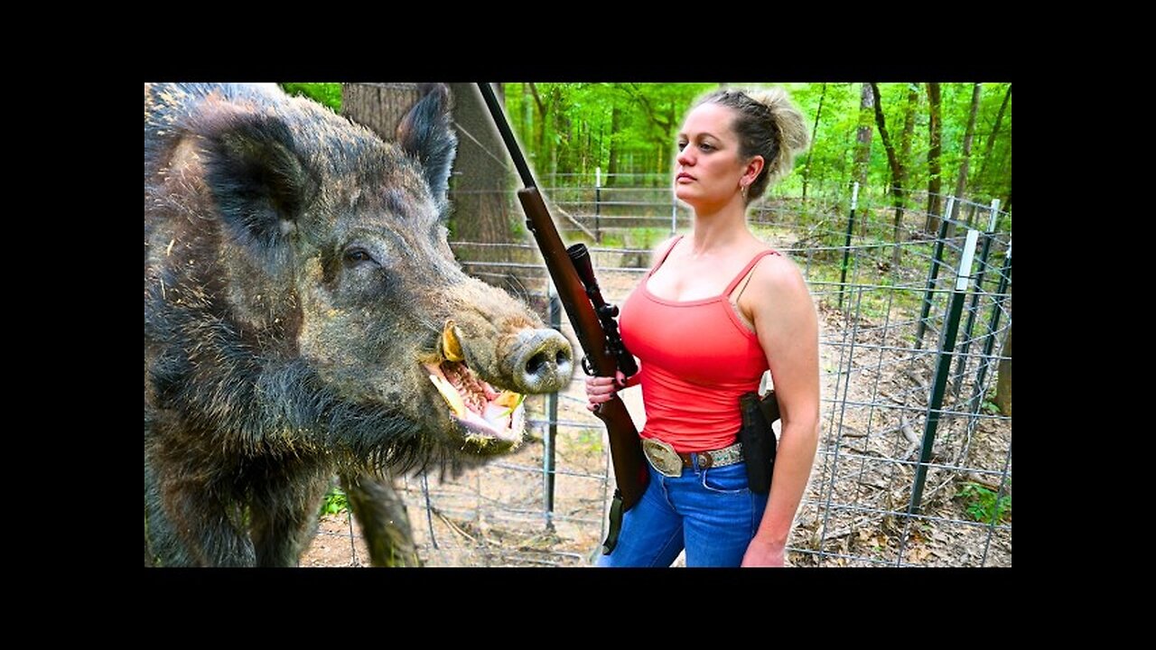 Wild HOGS ESCAPE LORI’S PIG TRAPS! She Fixes Them NOW!