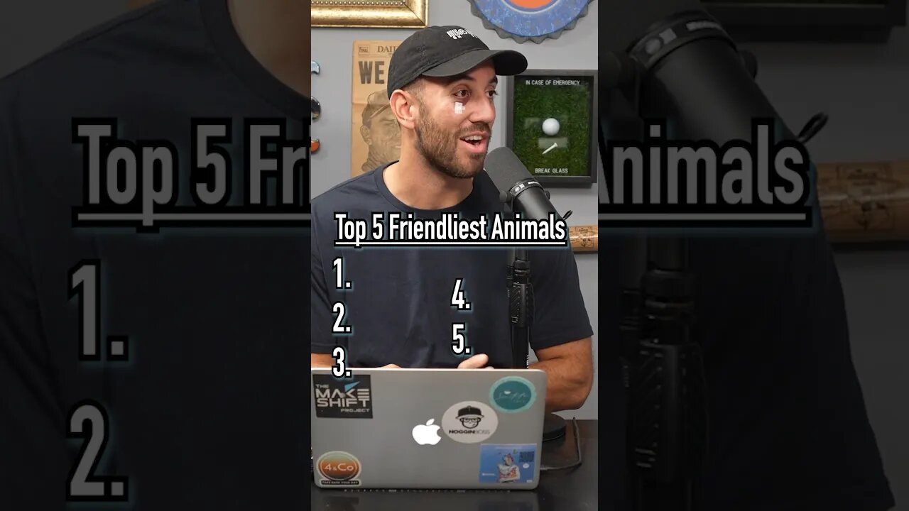 TOP 5 FRIENDLIEST ANIMALS!! Who’s Number 1? #shorts #animals #top5 #friendly #guessinggame