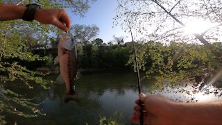 Getting my line wet | Bank Fishing