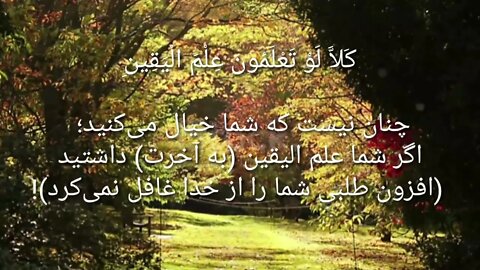 قرائت سوره مبارکه التکاثر توسط قاری محمد رضا حق شناس