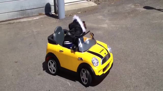 A Tot Girl Sleeps In Her Toy Car While It Rides In Circles