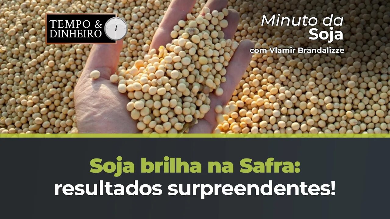 Soja nos melhores momentos da Safra