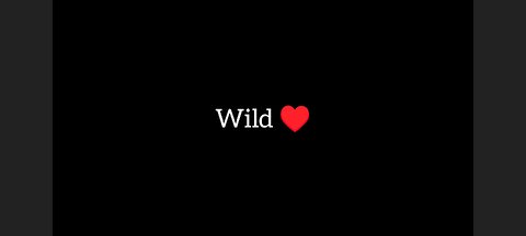 Asmr Wild