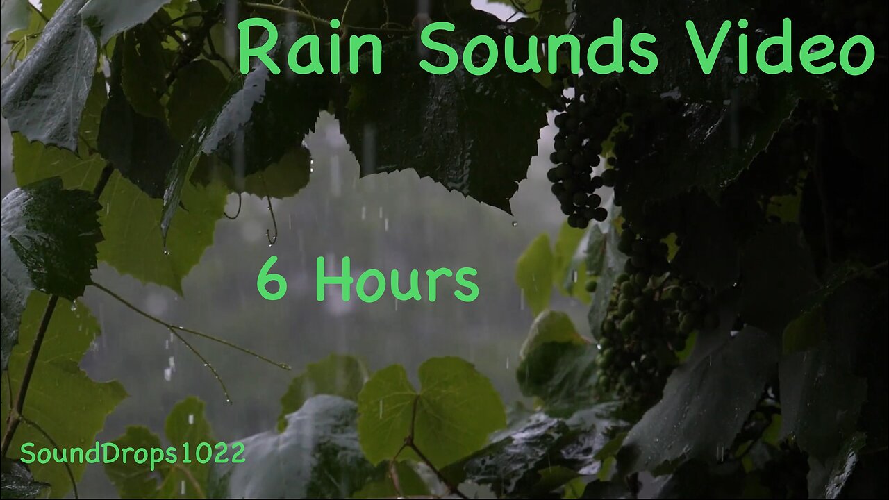 6-Hour Rainstorm: Sleep and Serenity