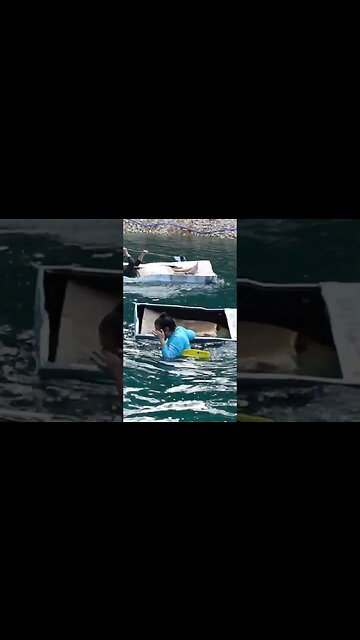 Is this what giving up feels like? Full Video 09/05/23! #thedenmanhomestead